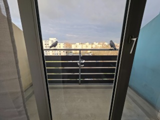 möbliertes Studentenapartment ab sofort zu vermieten