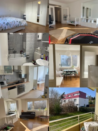 Anzeigenbild: Very nice apartment (2.5 zimmers) available starting from 2026.4.1 (or at the earliest at 2026.3.20)