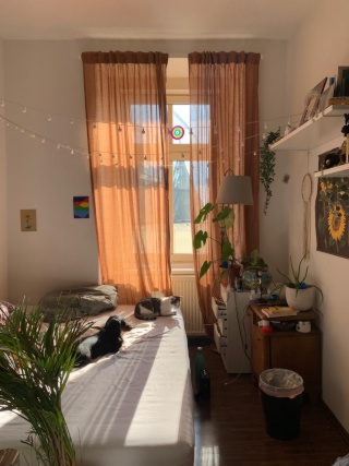 Imagen del anuncio: Zimmer in künstlerischer WG + Katze :)