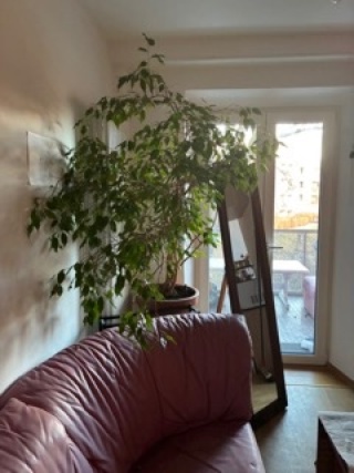 Creative Hideaway: Ruhiges Zimmer mit Yamaha E-Piano, LED-Bett, großem Balkon & Parknähe