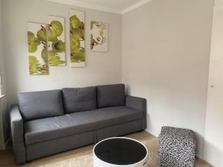 Anzeigenbild: Möblierte 3-Zi.-Wohnung mit 2 SZ am Opernhaus