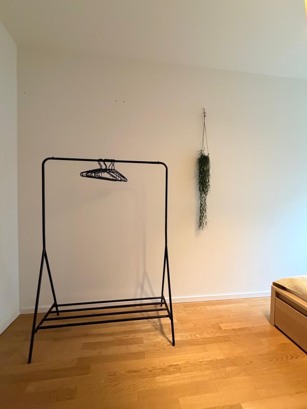 Flatshare Mitte Kommandantenstraße - picture 8