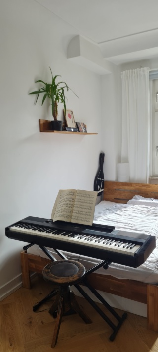 Untermiete in Altbau Weststadt