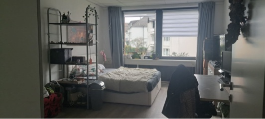 Gemütliches Zimmer in 9er Studentinnen WG