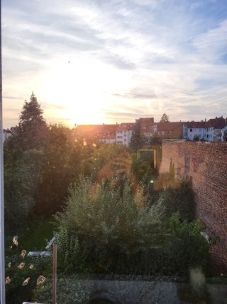 3er WG in Oststadt sucht Mitbewohni