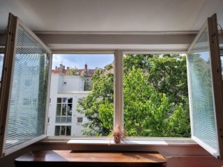 Zwischemiete 1-Zimmerwohnung