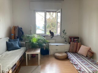 Ad image: Altbauzimmer in Kastel (April + Mai flexibel)