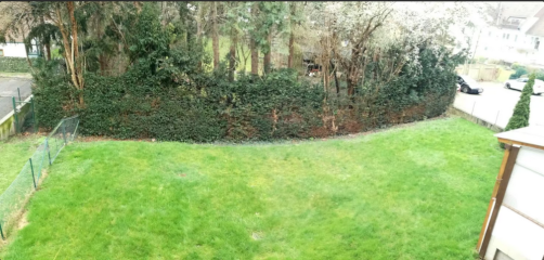 Anzeigenbild: WG in Hameln