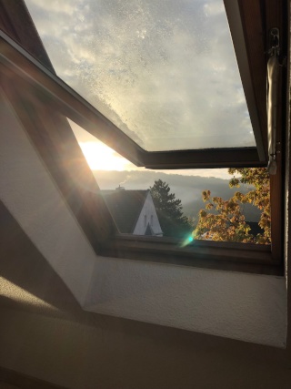 Ad image: Essen -Werden Zimmer Nähe Folkwang/ S-Bahn