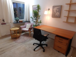 Anzeigenbild: Zwischenmieter für 1-Zi-Wohnung möbliert unterhalb Technologiepark Tübingen gesucht