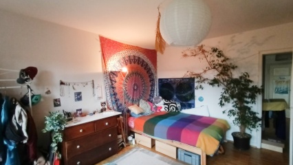 Anzeigenbild: WG-Zimmer Landau Süd