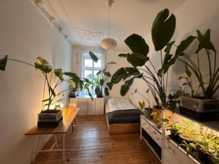 März (oder ein paar Tage) in Moabit