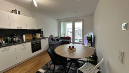 Short Term Furnished Apartment for Rent | 17 March – 17 April