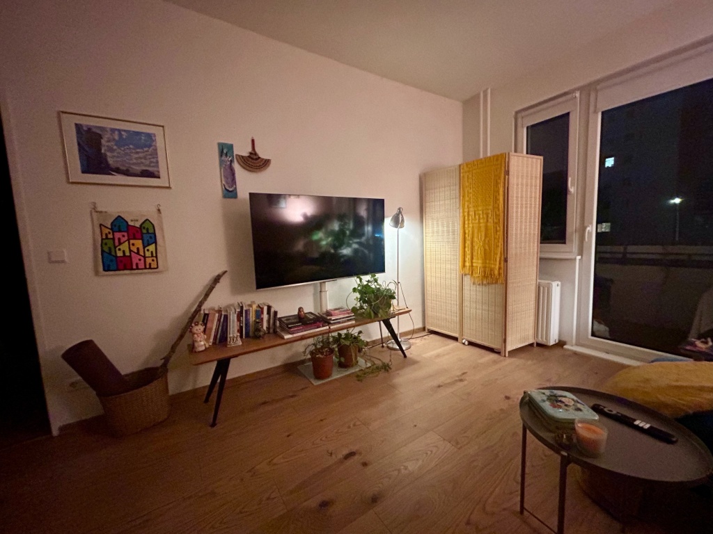 Wohnung Charlottenburg-Wilmersdorf Nürnberger Straße - night living room tv