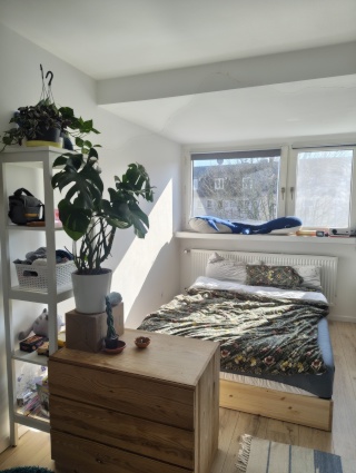 Ad image: Untermieter:in für cute Wohnung in Frohni gesucht!