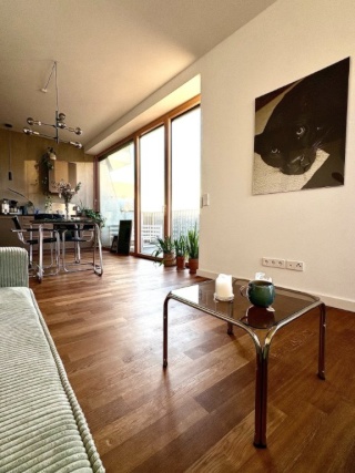 Helle, moderne Wohnung mit Dachtereasse