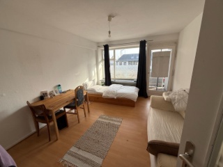 Anzeigenbild: Zentrale möblierte 1-Zimmer-Wohnung (28 m2) mit Balkon – Rosenplatz – 540€ warm