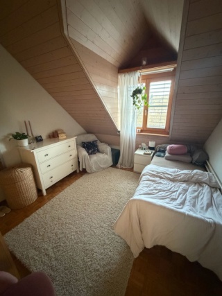 Imagen del anuncio: Zimmer zur Untermiete in schöner 5 1/2 Zimmer Wohnung