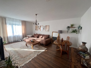 Anzeigenbild: Ein schönes ein Zimmer Wohnung