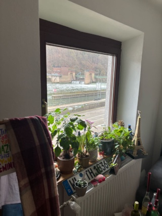 Anzeigenbild