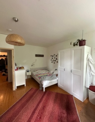 Helles Zimmer in gemütlicher Altbau WG mit Balkon