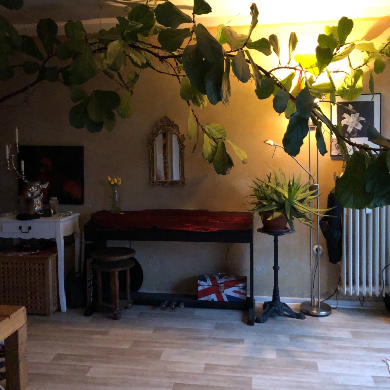 cosy, golden & furnished apartment (WOMEN ONLY!) – Mariannenplatz xx, 10997 Berlin Kreuzberg – Vorschaubild 4