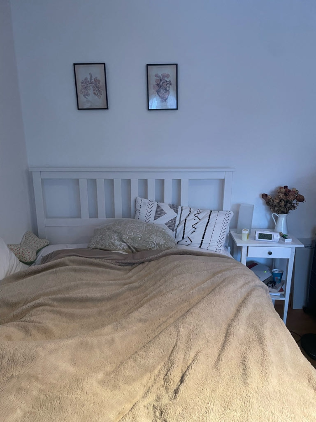WG-Zimmer Erlangen-Süd Gleiwitzerstraße - Bild 9