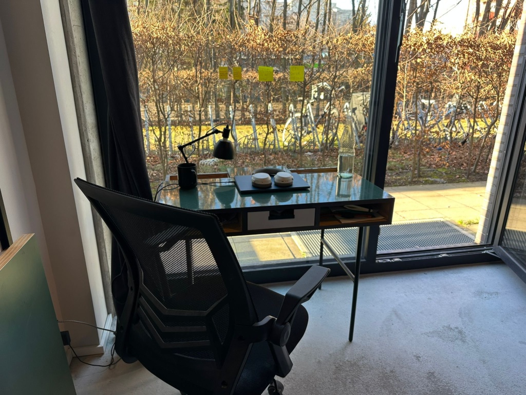 1 Room Flat Mitte Stralsunder Straße 14 - Private patio studio with floor-to-ceiling windows and courtyard garden view