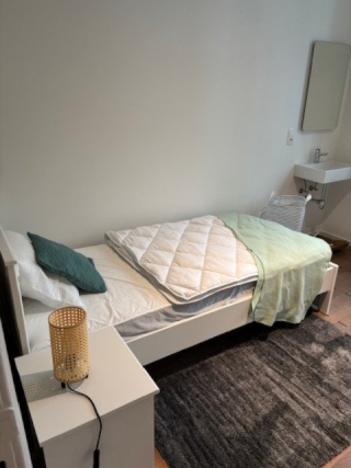 Ad image: Duplex flat over 2 floors with 11 individual rooms and commun living - dining room and big garden