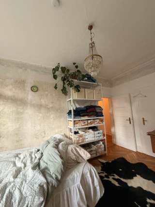 Anzeigenbild: Schönes Altbauzimmer zur Zwischenmiete im Mai