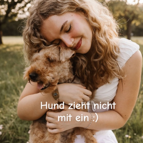 Ad image: Ich suche ab sofort ein WG-Zimmer⭐️