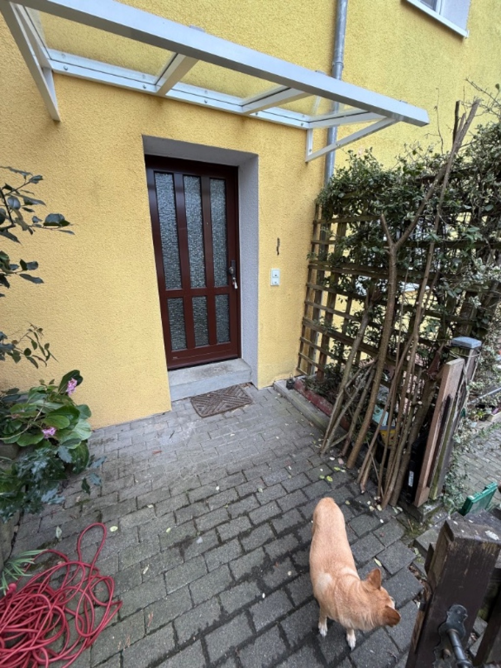 Kleines Apartment – Hirtenstrasse, 65193 Wiesbaden Sonnenberg – Vorschaubild 10