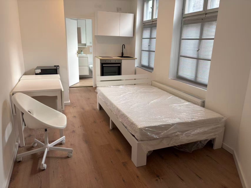Renovierte Möblierte 1-Zimmer Wohnung, Nähe Uni – 23552 Lübeck Innenstadt – Vorschaubild 5