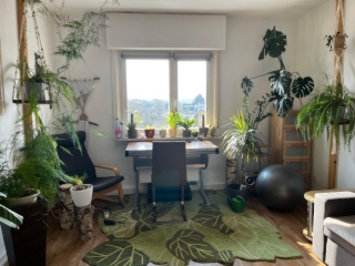 Imagen del anuncio: Helles schönes WG Zimmer in 2er WG