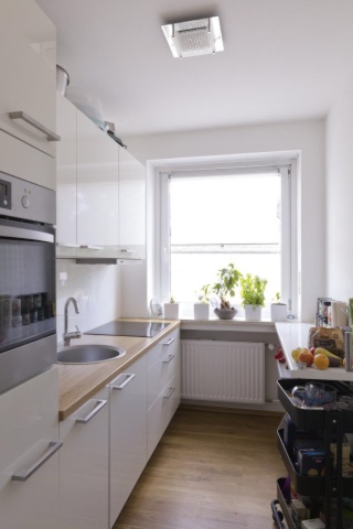 Anzeigenbild: 3er WG (plus 2 Katzen) sucht eine nette Mitbewohnerin :)