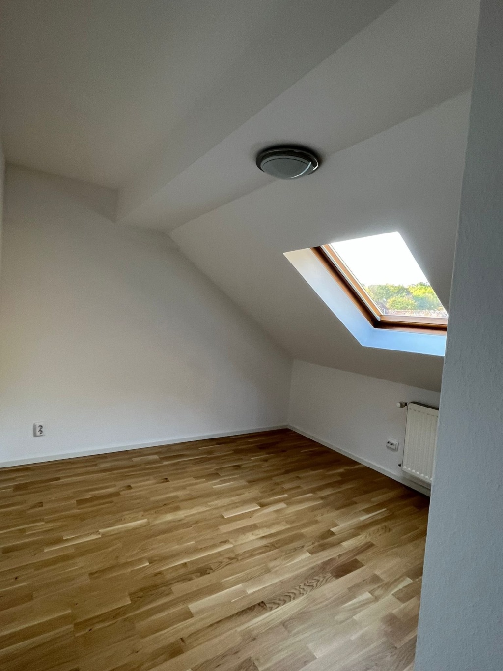 Für Singles: Modern ausgebaute 2,5 ZKB-Wohnung mit EBK für 1 Person, ruhige Hofhauslage in der Südstadt mit Blick in den Meißner – Frankfurter Straße 159, 34121 Kassel Südstadt – Vorschaubild 9