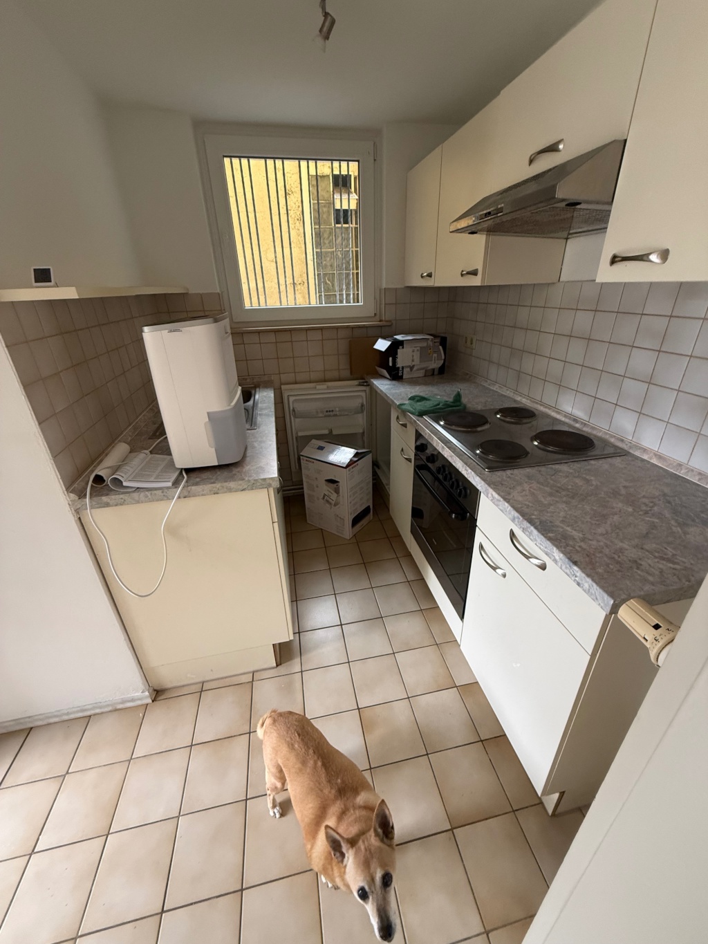 Kleines Apartment – Hirtenstrasse, 65193 Wiesbaden Sonnenberg – Vorschaubild 8