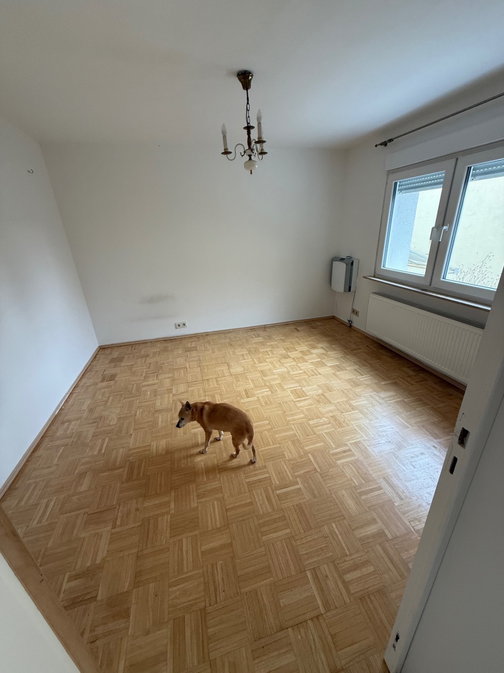 Kleines Apartment – Hirtenstrasse, 65193 Wiesbaden Sonnenberg – Vorschaubild 3