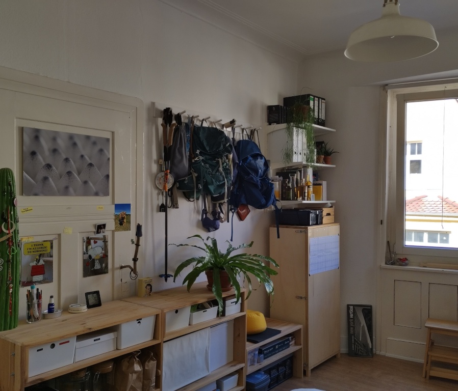 Habitación en WG Ost Schlößlestraße - Zimmer 1 (Serviervorschlag)