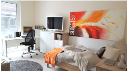 Imagen del anuncio: 1-Zimmer-Apartment in Studierendenwohnheim