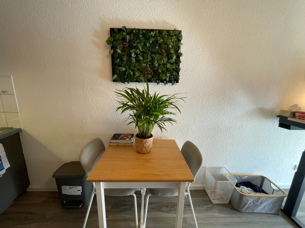 [NUR STUDIERENDE] Untermieter gesucht für Studentenwohnheim Eastsite Apartment – 68163 Mannheim Neuostheim/Neuhermsheim – Vorschaubild 10