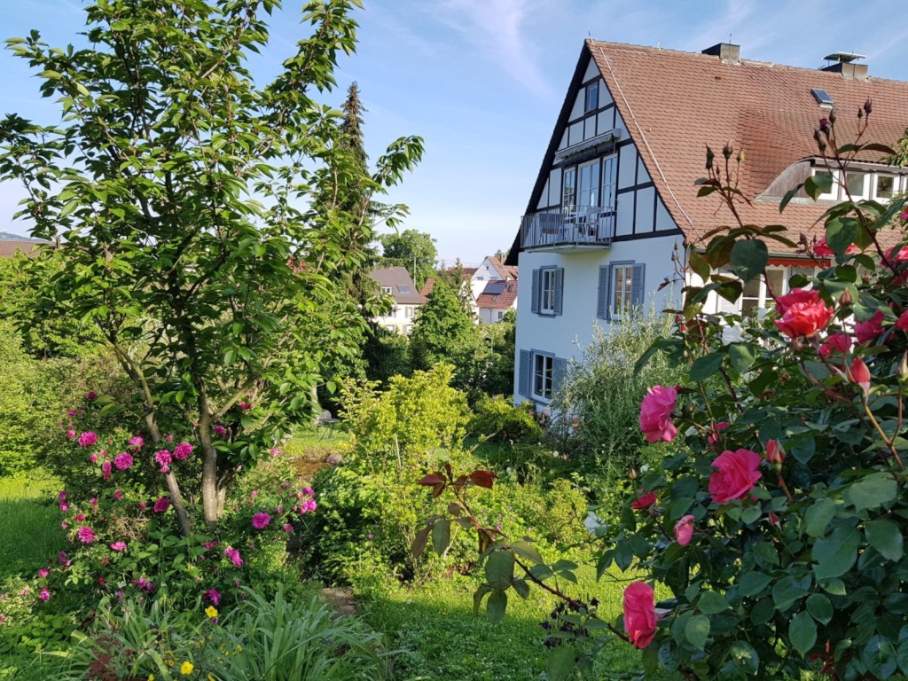 Flatshare Obertürkheim Asangstrasse - Das Haus, Südseite