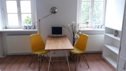 Anzeigenbild: 1 Zimmer Apartment teilmöbliert / inkl. Pkw Stellplatz