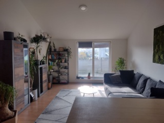 Ad image: 2 Zimmer Wohnung (Befristet - 1 Monat)