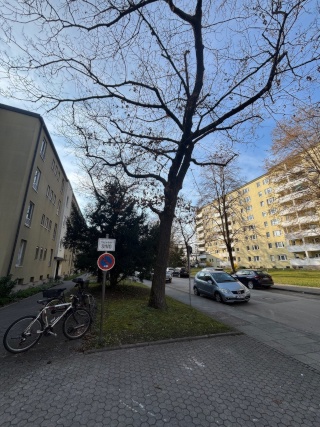 4 WG Zimmer - WG Zimmer verfügbar - ab Mai