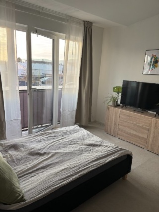 Anzeigenbild: Moderne Einzimmerwohnung für drei Monate zur Untermiete // Modern one-room flat for subletting for three months