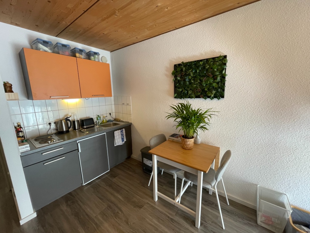 [NUR STUDIERENDE] Untermieter gesucht für Studentenwohnheim Eastsite Apartment – 68163 Mannheim Neuostheim/Neuhermsheim – Vorschaubild 2