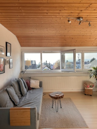 Anzeigenbild: Helle 1,5 Zimmer Wohnung mit Seeblick