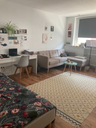 Großes & helles WG-Zimmer im Zentrum