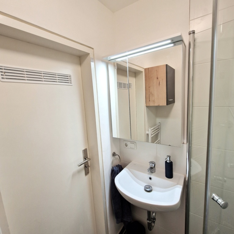 Fully equipped, quiet and just renovated flat (Schwabing/Munich) / Voll ausgestattete, ruhige und renovierte Wohnung (Schwabing/München) – Leonhard-Frank-Strasse 7, 80796 München Schwabing-West – Vorschaubild 14